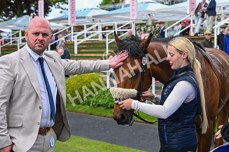 150526-Race 1-Zarathos-7097 - Race 1 1.45pm Yorkshire Equine Practice Handicap