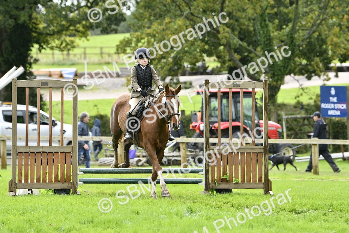 SBM_41471 - S32 - Mountain & Moorland Working Hunter Pony