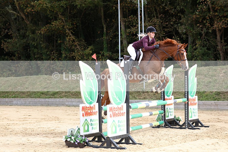 3E7A2310 - Class 4: Senior British Novice/90cm open