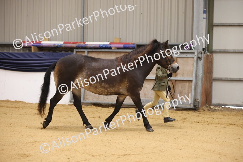 20260913-0031 - Class 121 - Young Handler 5-16