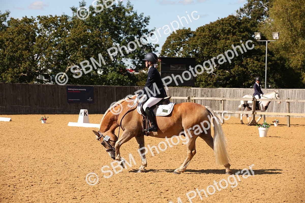 SBM_24254 - D5 - Small Tour Championship - Intro C