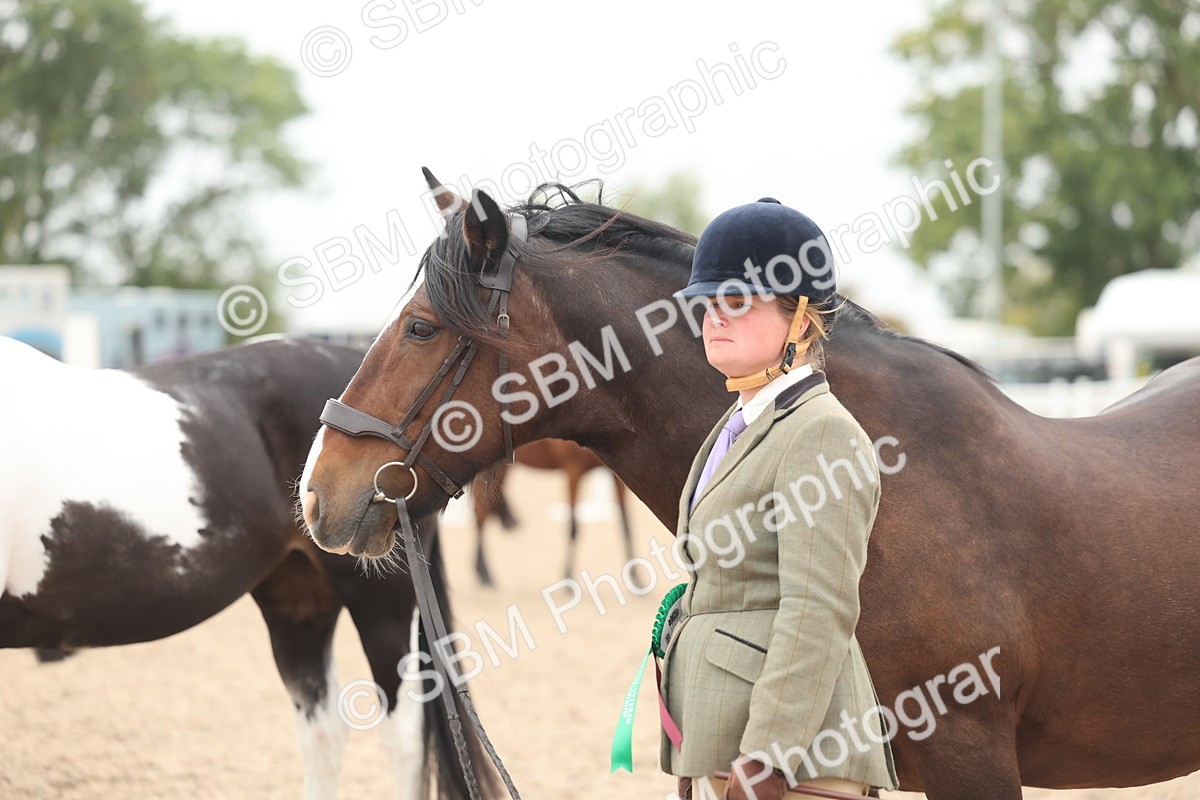 SBM_19910 - Class 318 - IH Part Bred Horse-Pony