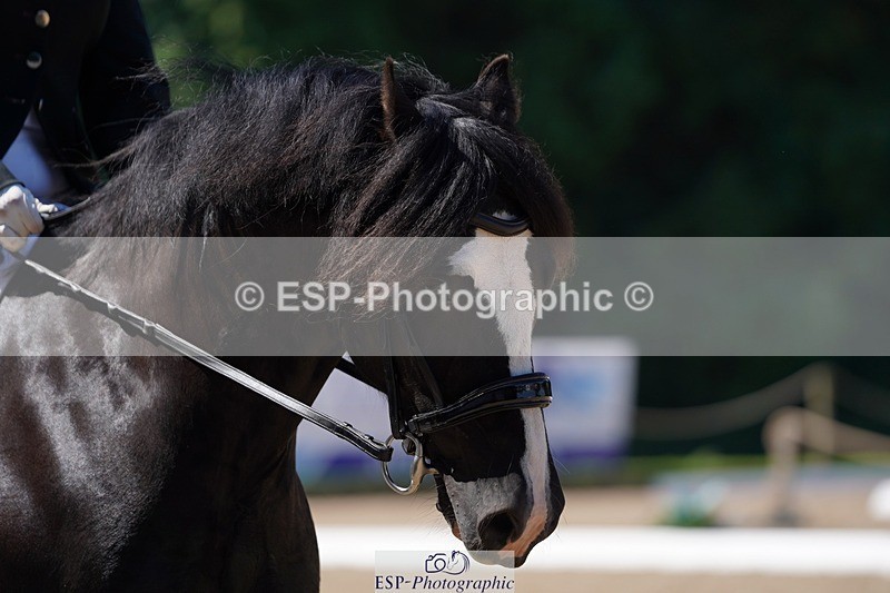 240719-111444-01049 - 113-Amber_Heywood-Walena_Rockocoko