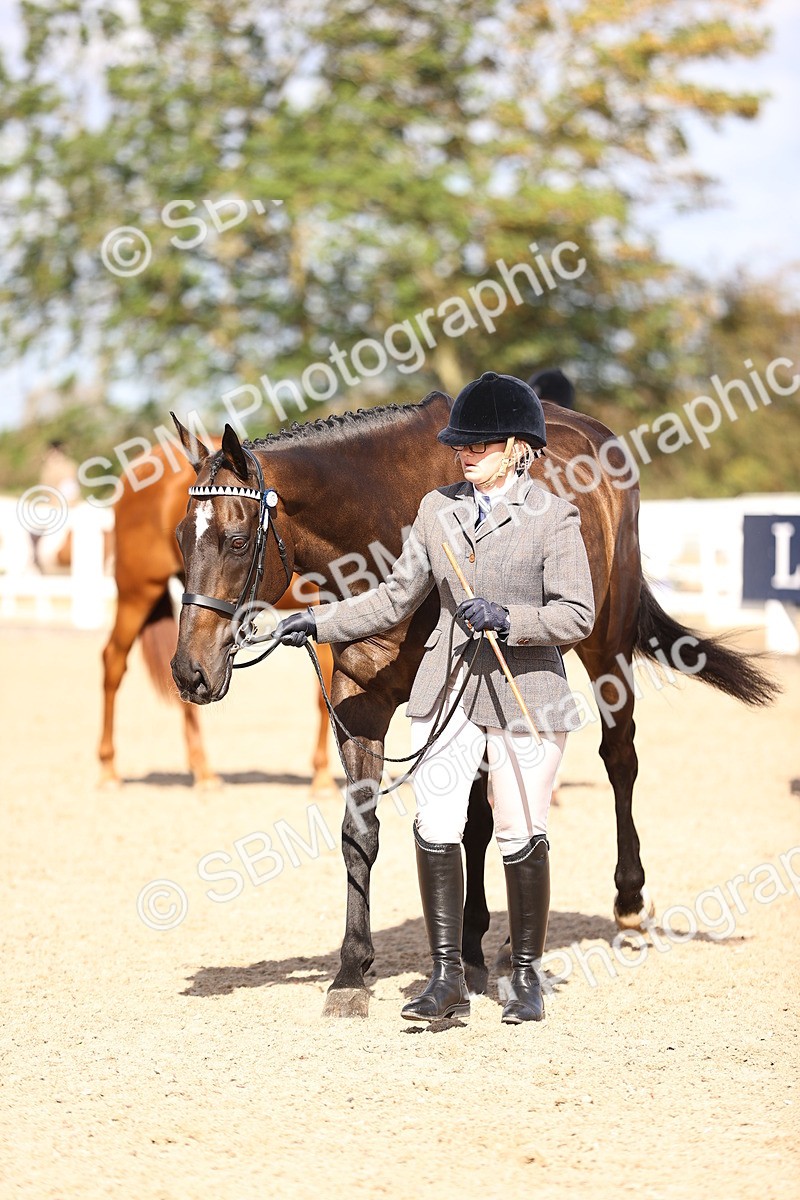 SBM_11516 - Class 407 - IH Hack-Riding Horse