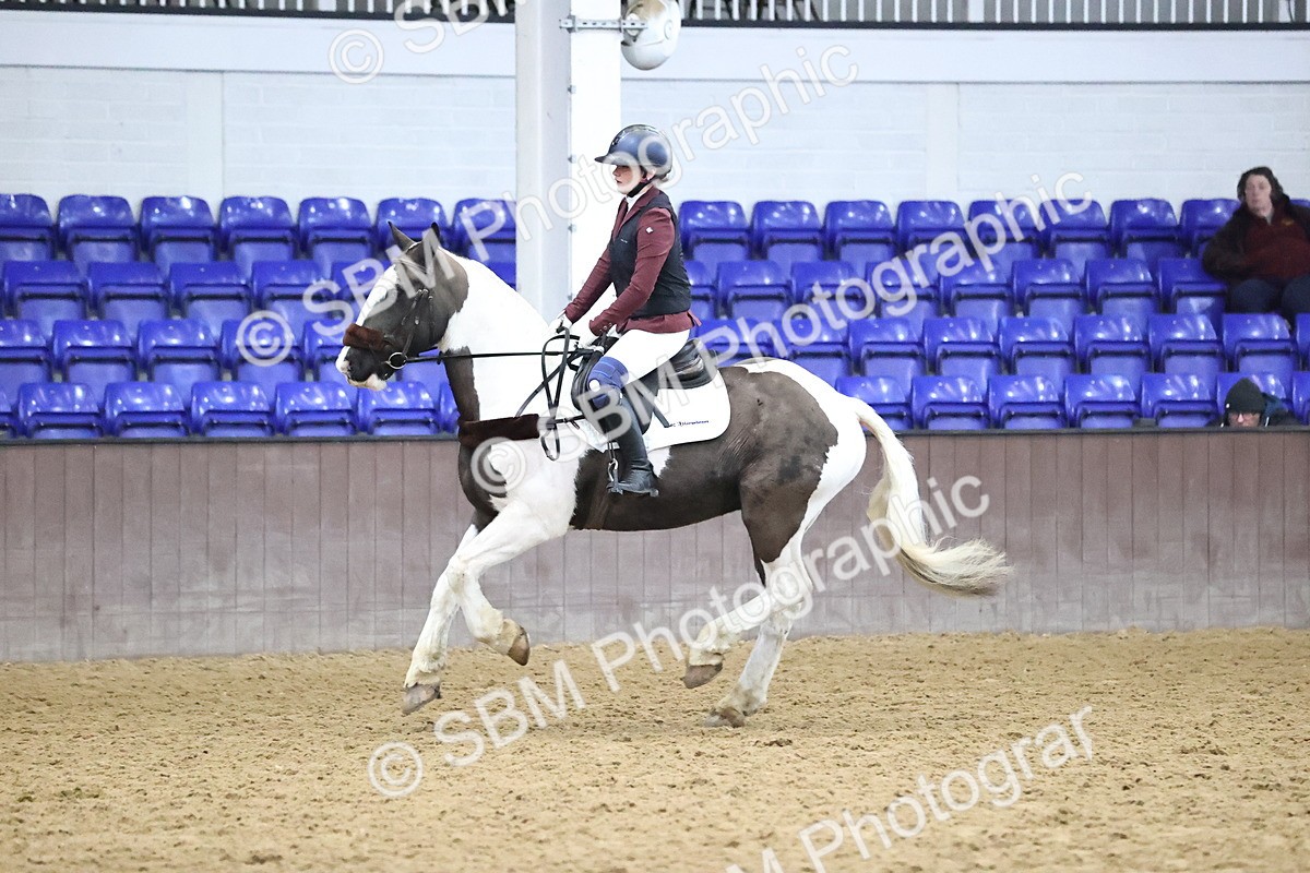 SBM_002896 - Class 14 - Senior British Novice - 90cm