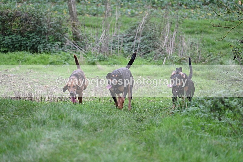 WJ7_8894 - Camera 1 only on this line