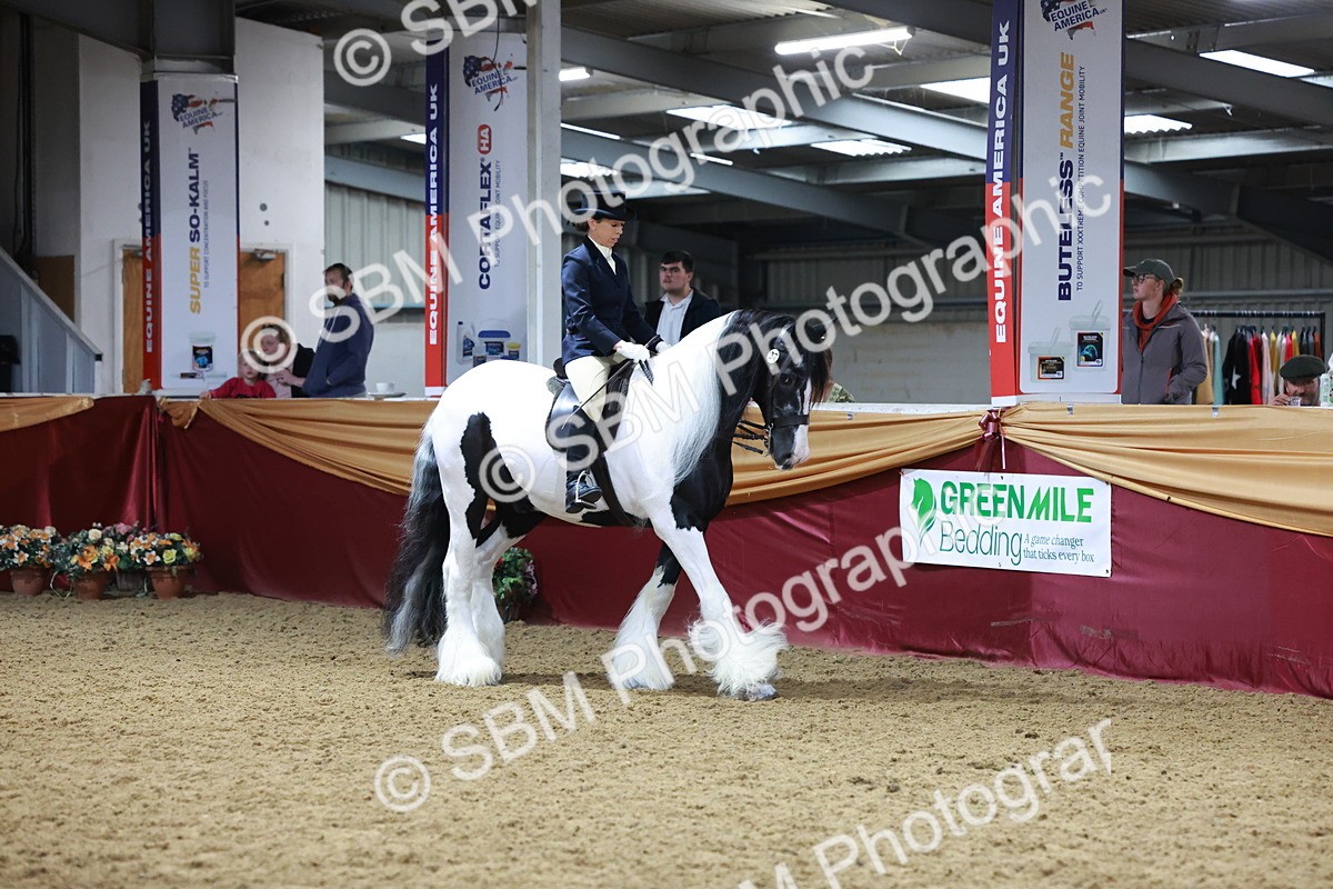 SBM_20122 - Class C - Novalty Champ