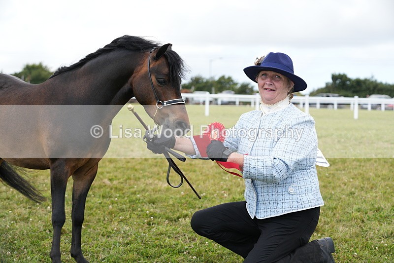DSC06624 - Class 57: Miniature Horse 4yrs & over