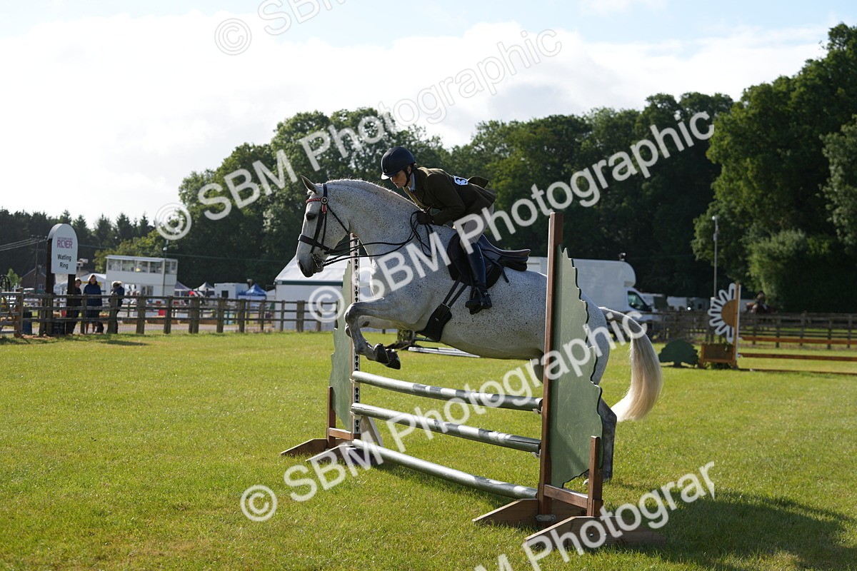 SBM_10550 - Class 97-98 - LIHS BSHA Rising Star Working Show Horse Hunter