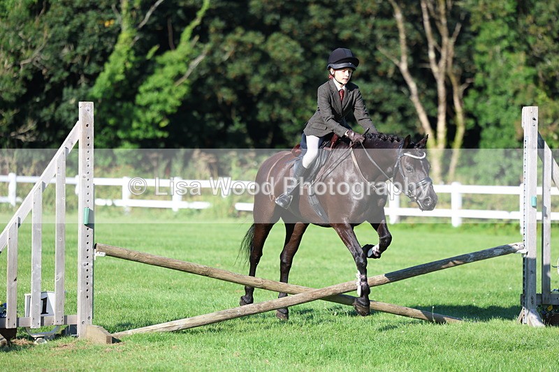 3E7A7473 - Class 1: Novice Working Hunter Pony
