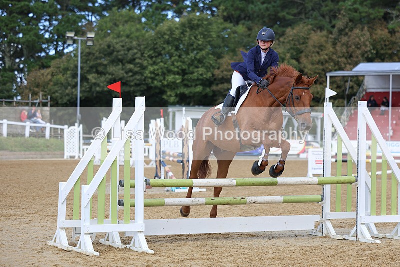 3E7A9063 - Class 9: Senior British Novice/90cm open