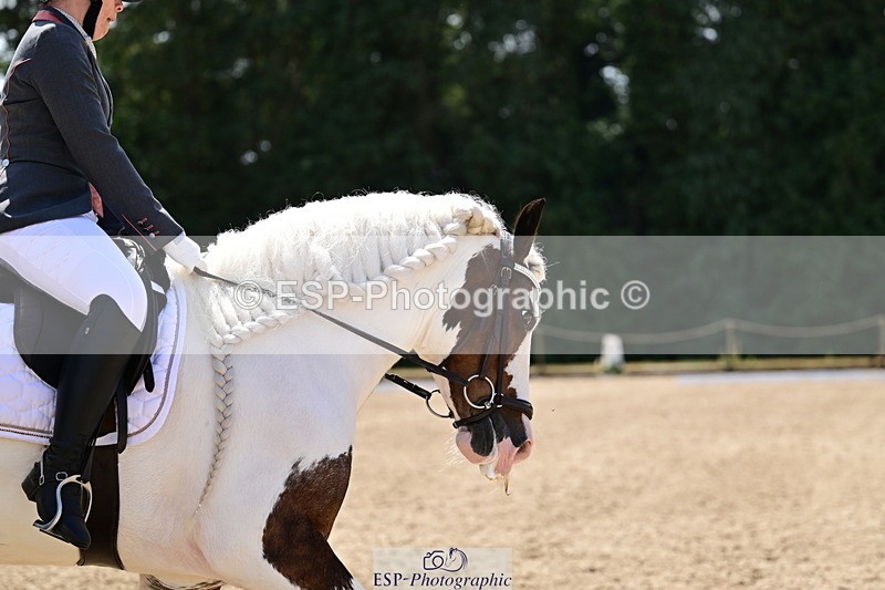 260802A-123211-06255 - Novice Silver break- end