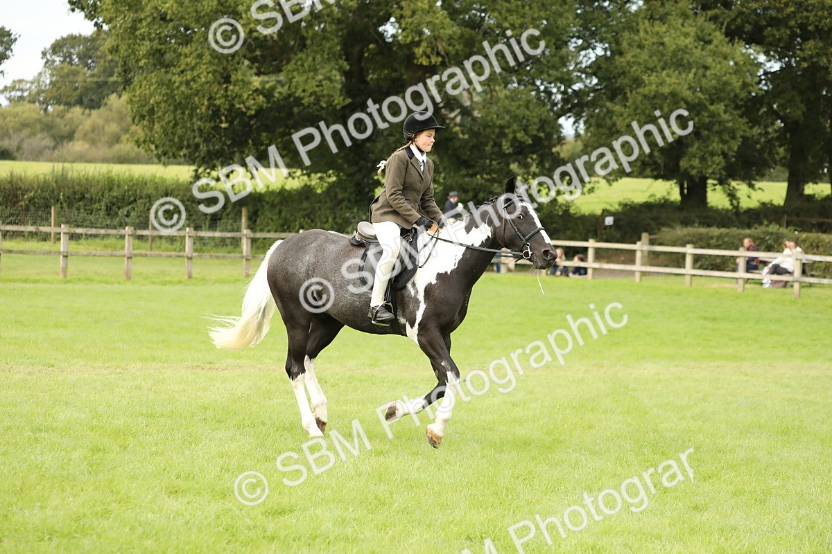 SBM_71617 - S41 - Ridden Equitation (Best Rider)