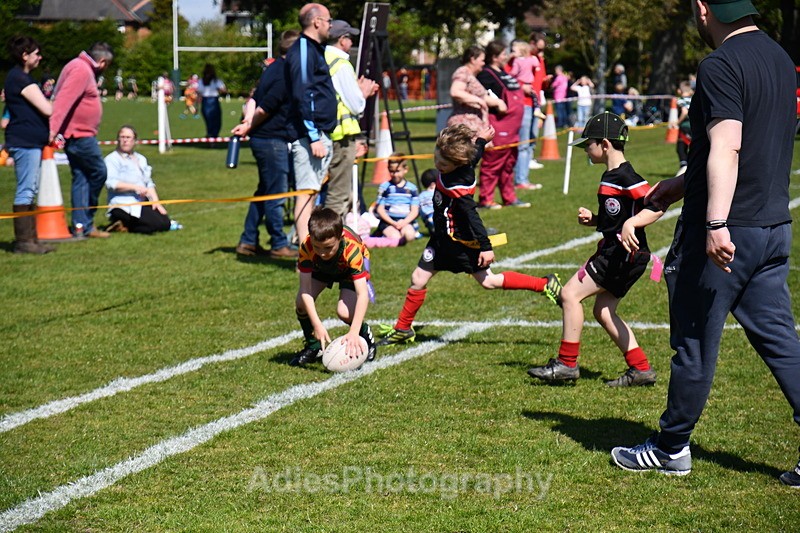  - Selby Rugby Festival 2025