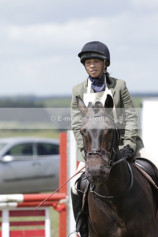 BVHT 140517 N-246 - Class 2 SJ Novice 14/05/17