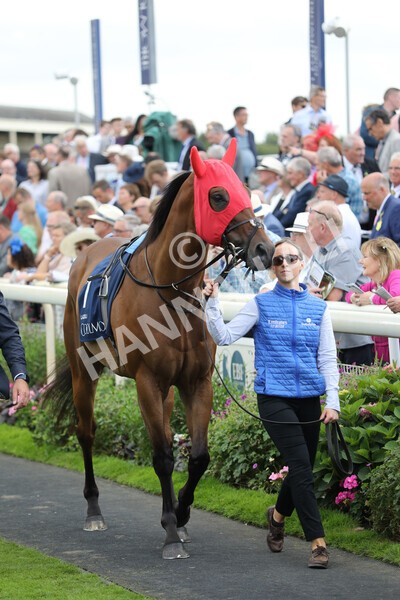 yr19082022r4-15 - Race 4 3.35pm Coolmore Wootton Bassett Nunthorpe Stakes (British Champion Series Race)