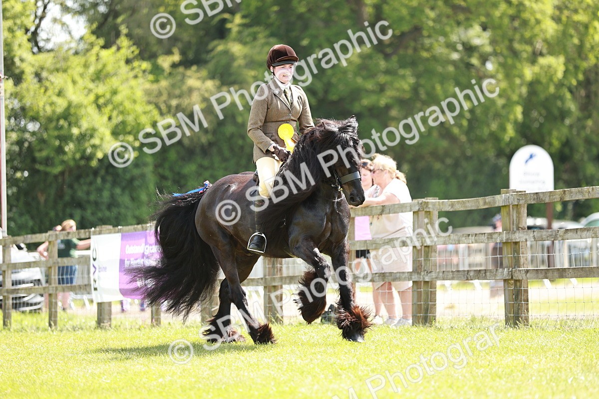 SBM_07231 - Class 26-30 - Mountain and Moorland Ridden