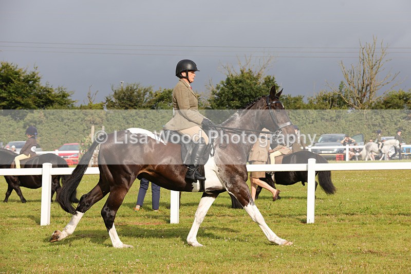 1X9A2936 - Class 25: Ridden Plaited Coloured Horse