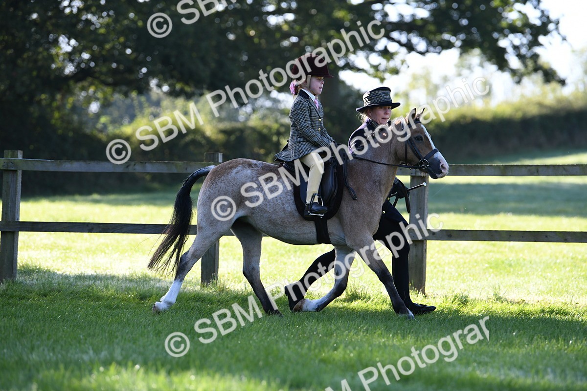 SBM_35349 - S17 - Condition & Turnout - Lead Rein