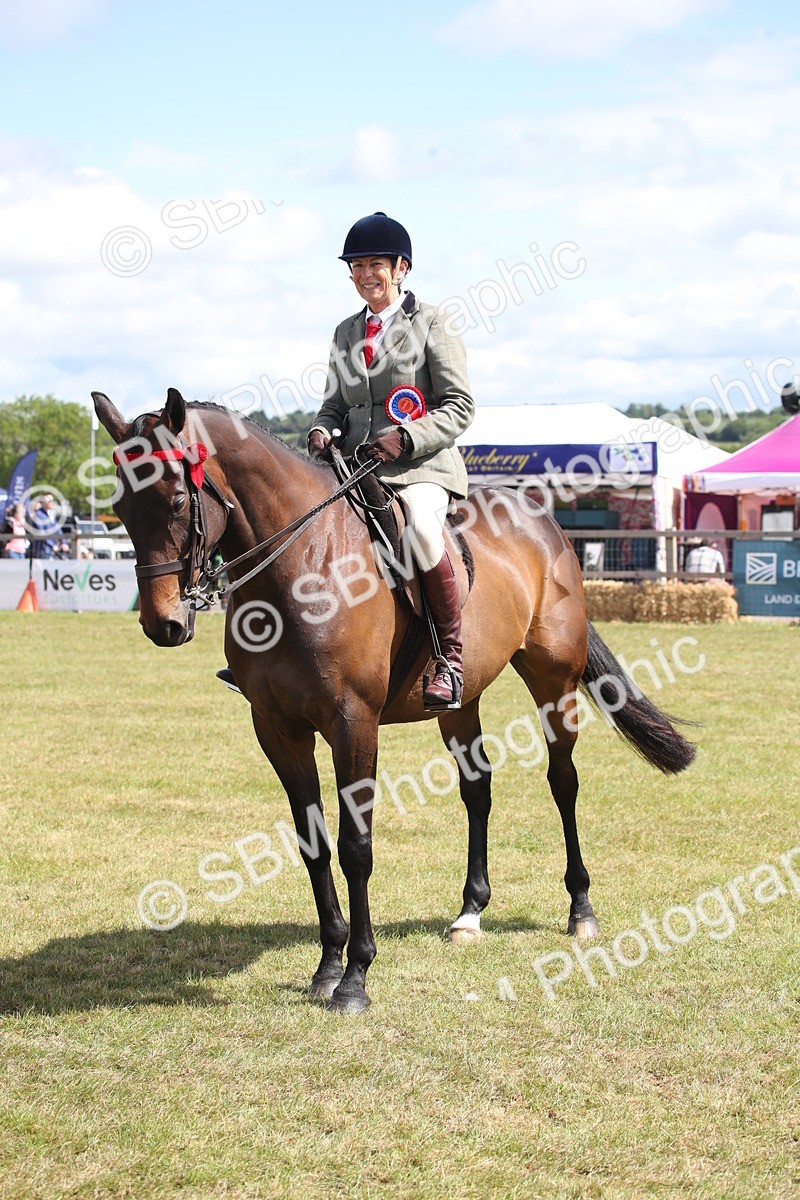 SBM_13336 - Class 95-96 - LIHS BSHA Rising Star Hack Riding Horse
