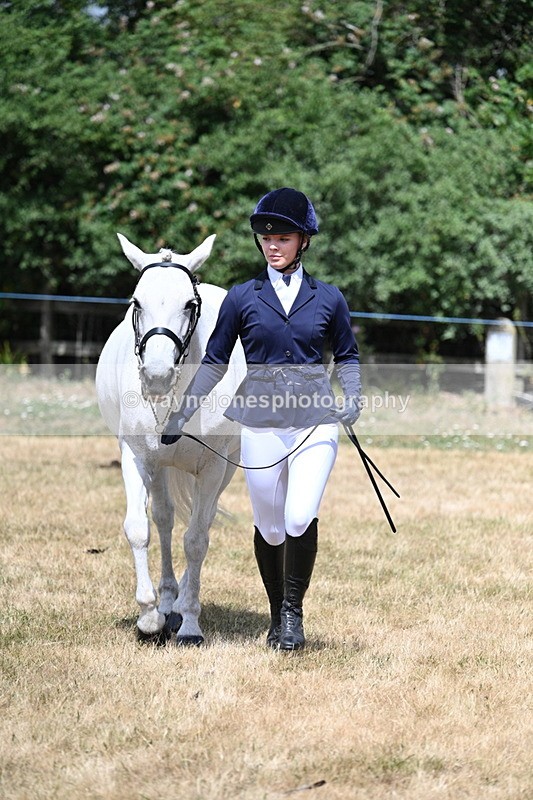 WJ7_1600 - Class 4 Prettiest Mare up to 14.2hh in hand