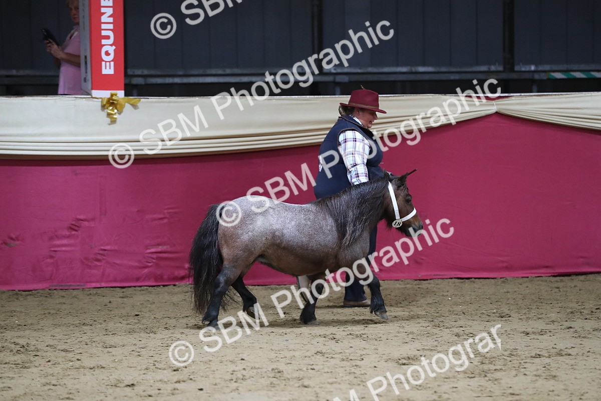 SBM_06371 - Class 9R Regional- IH Pre Vet