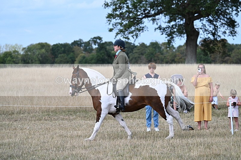 WJ7_7293 - Class 14 Ridden Coloured