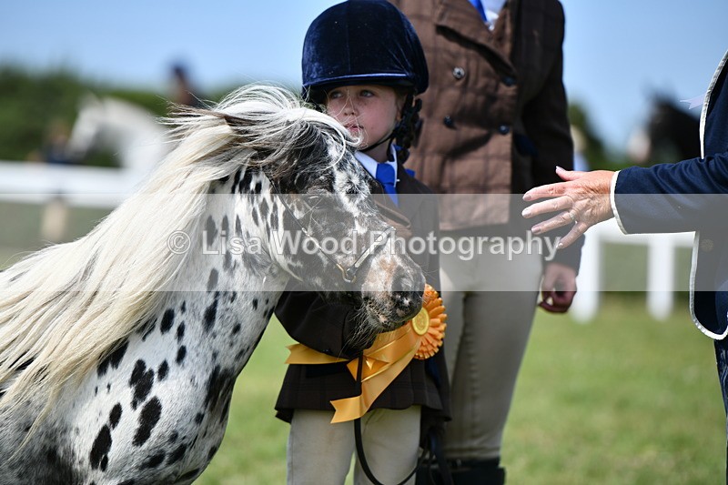 DSC_8049 - Class 66: Child Handler 10 years and under