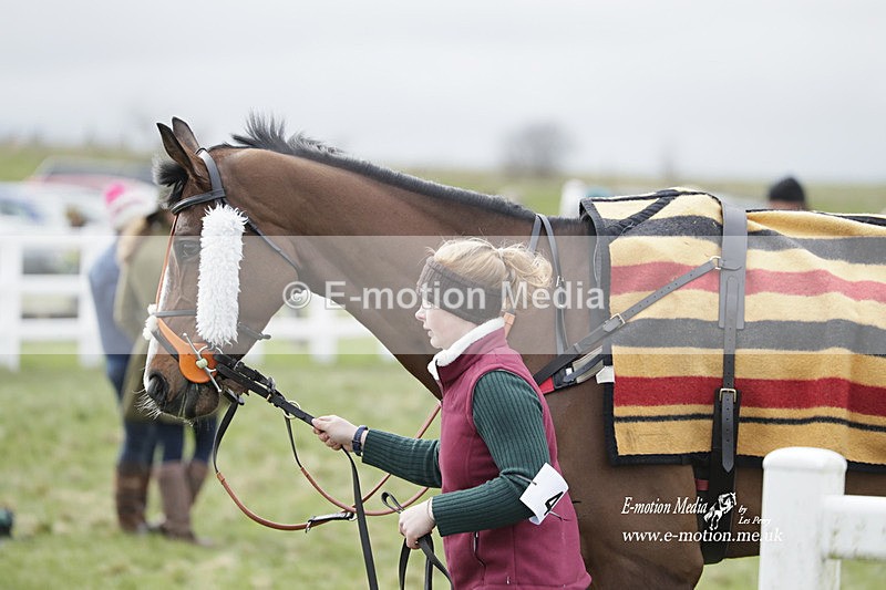 PtP 260323 0772 - New Forest Hounds Point-to-Point Larkhill 26/03/23