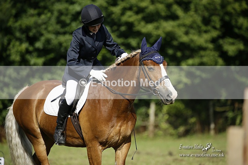 BVRC 120921 216 - Bourne Valley Riding Club UA Dressage & Show Jumping 12/09/21