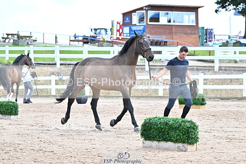 240718A-105328-02048 - Trot Up 2pm to 3pm - This folder is not in time order