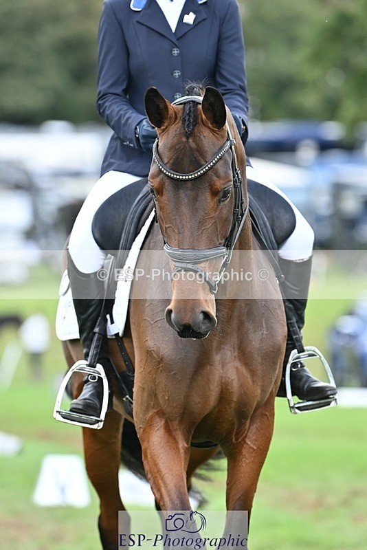 231020-142310-10886 - 665-OPPOSITION.FIDELITY-Izzi.Kirk-DR