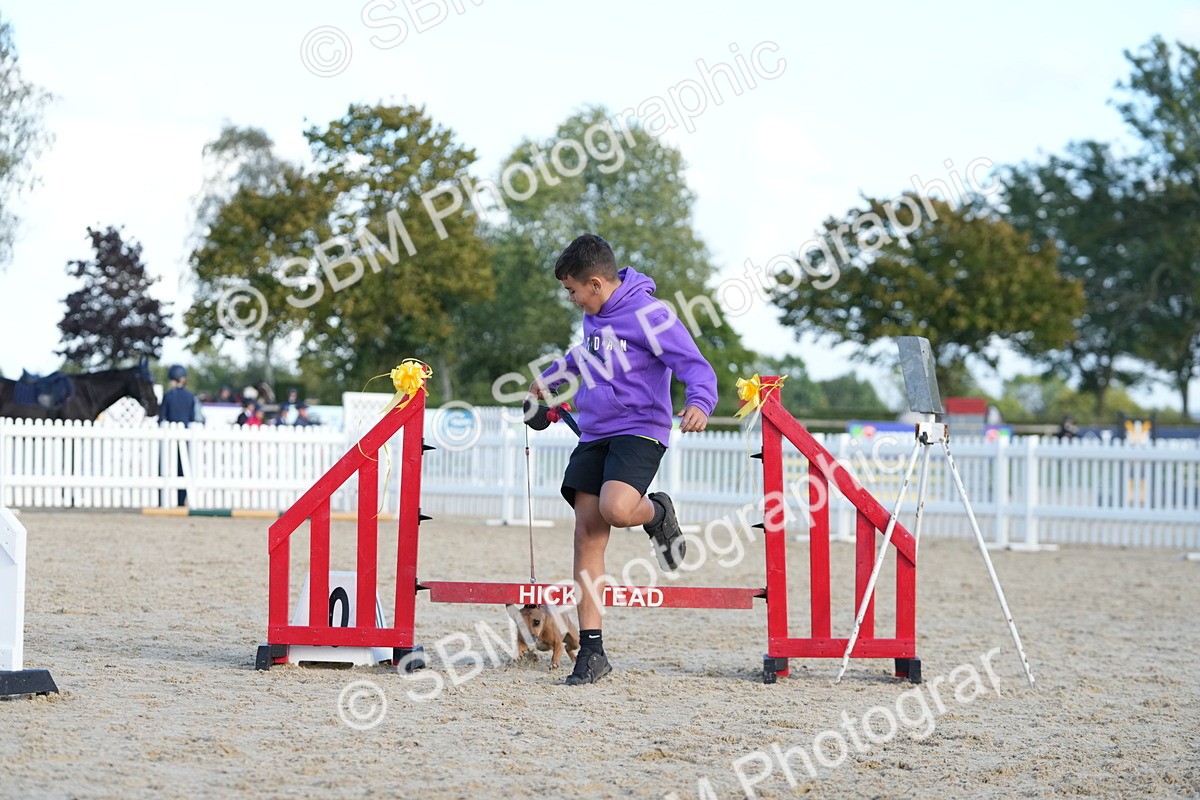 SBM_29086 - J43 - Horse & Hound Open 50cm