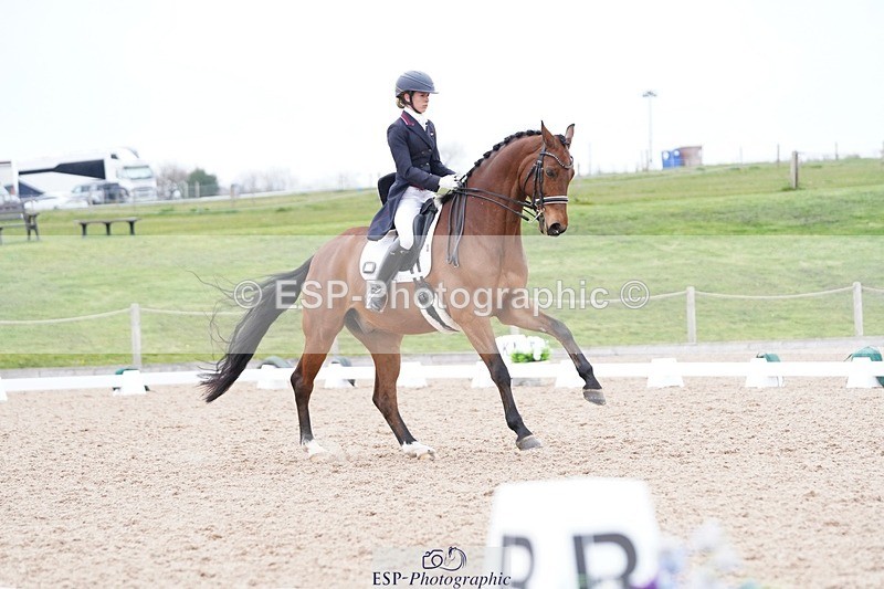 250403-162006-03285 - 028-Elizabeth.Allen-Heraldik