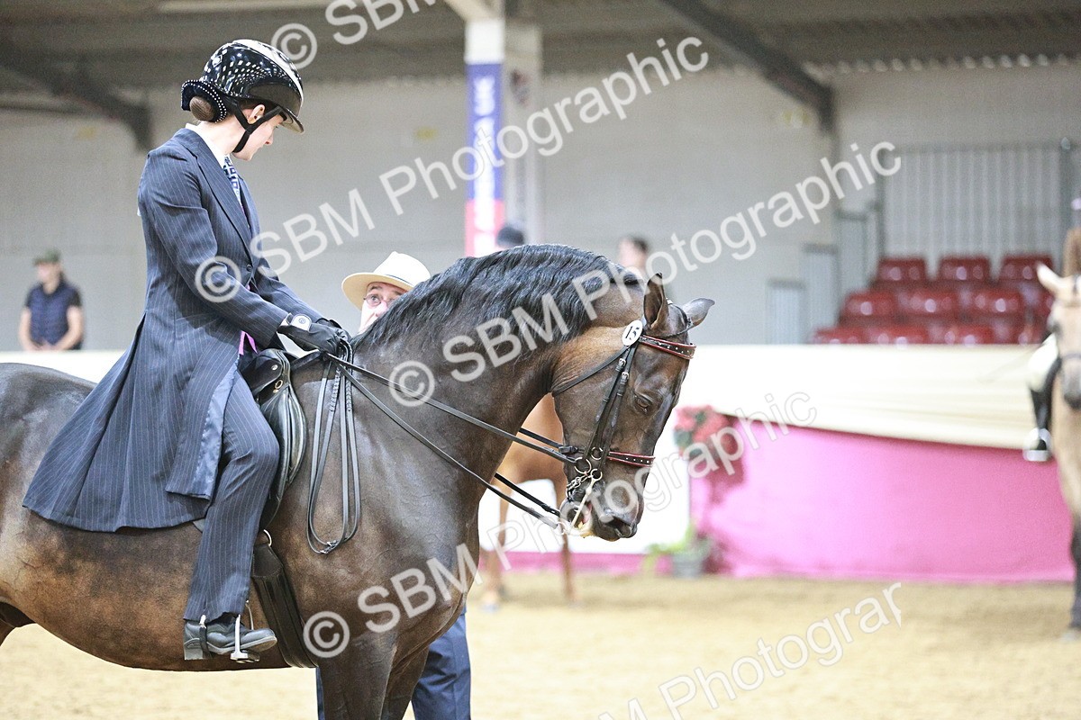 SBM_03361 - Class 6A Area Ridden Pre-Vet
