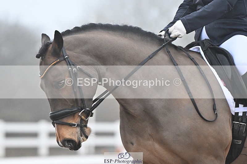 240217A-095930-00502 - 205-Emma.Murch-Gwynfaes.Gethin