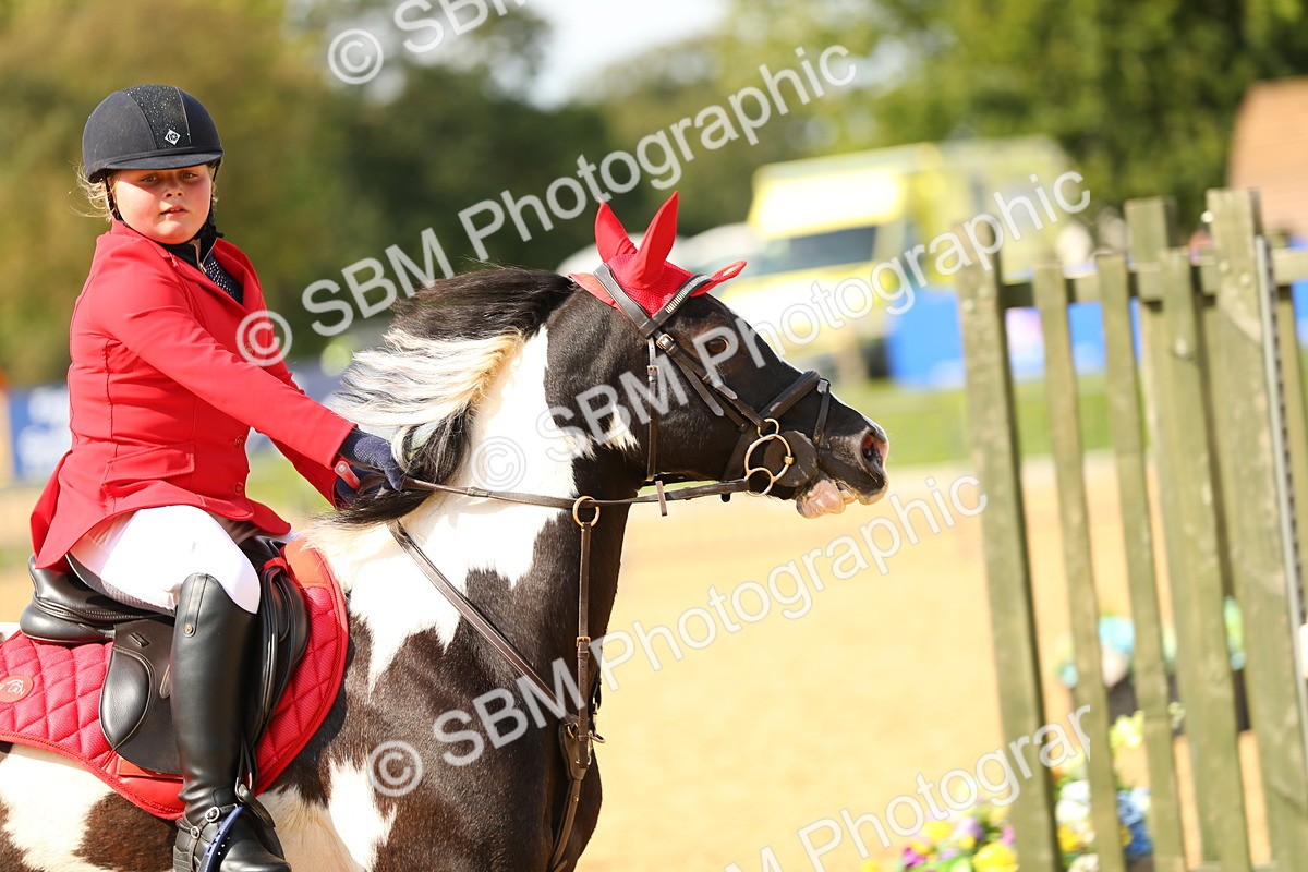 SBM_67931 - J17 - Junior Pony 80cm Championship