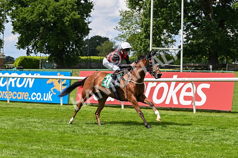 060625-Race 1-In A Hurry-4188 - Race 1