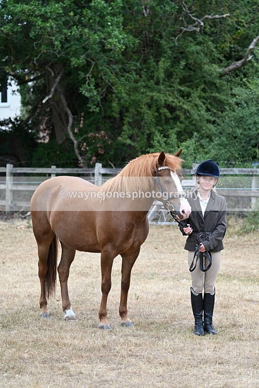 WJ7_8136 - Class 4 Prettiest Mare up to 14.2hh