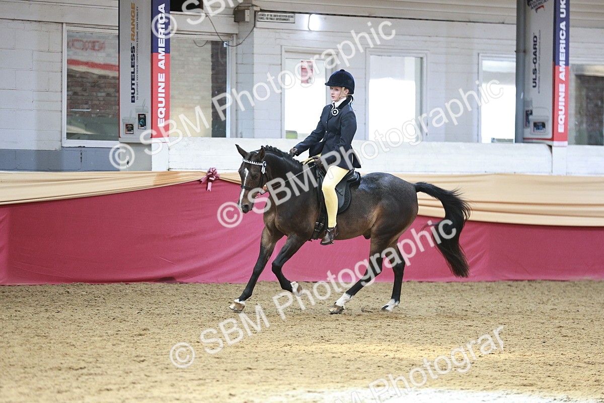 SBM_08294 - Class 11R - Regional Ridden Veteran