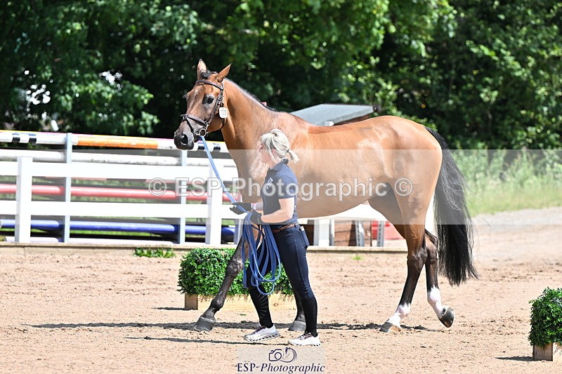 240718A-105240-00994 - Trot Up 11am to 12pm