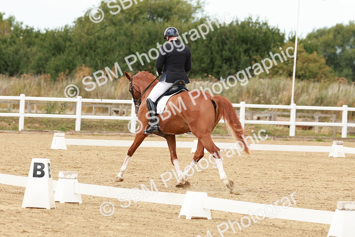 SBM_002009 - Class 8 - Elementary 6