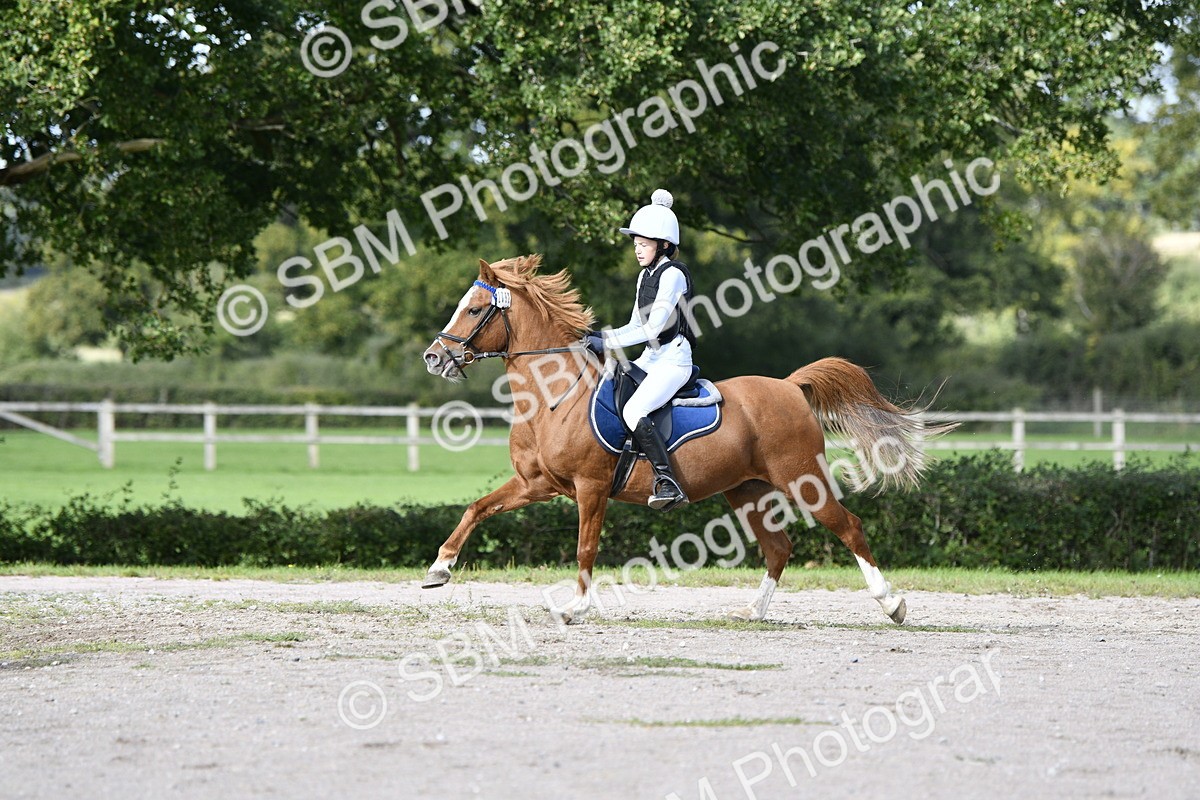 SBM_17608 - E4b - Eventers Challenge 60cm Open