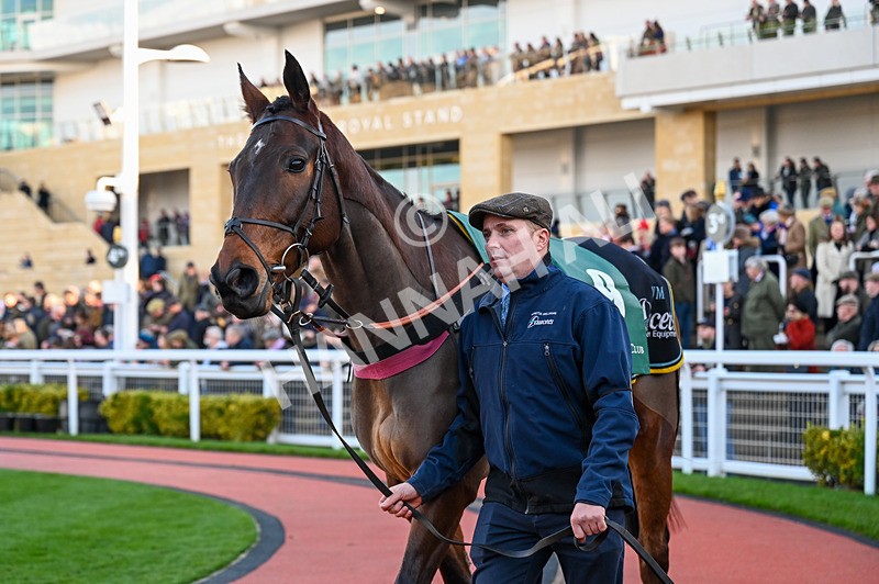 141224-Race 4-Gemirande-0658 - Race 4