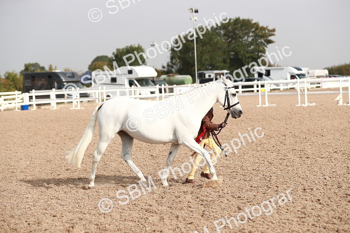 SBM_09956 - Class 203 Young Handler, 10 years and under