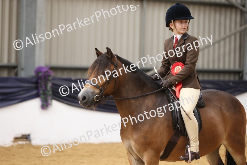 20260913-0675 - Class 126 - Novice Ridden