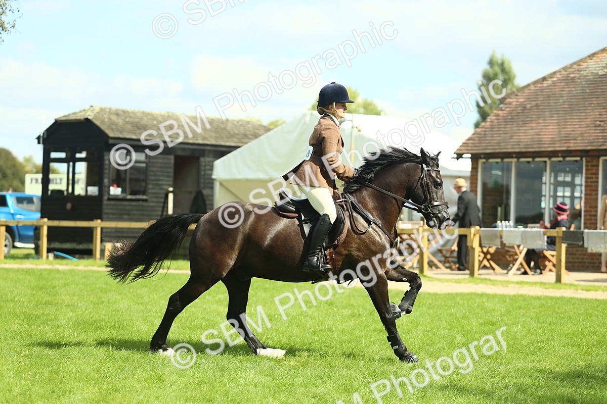 SBM_42867 - S30 - M&M Working hunter Pony