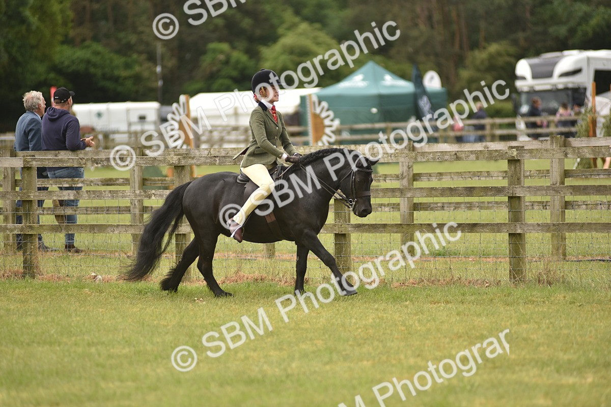 SBM_10714 - Class 110-112 - LIHS BSPS Performance Pones