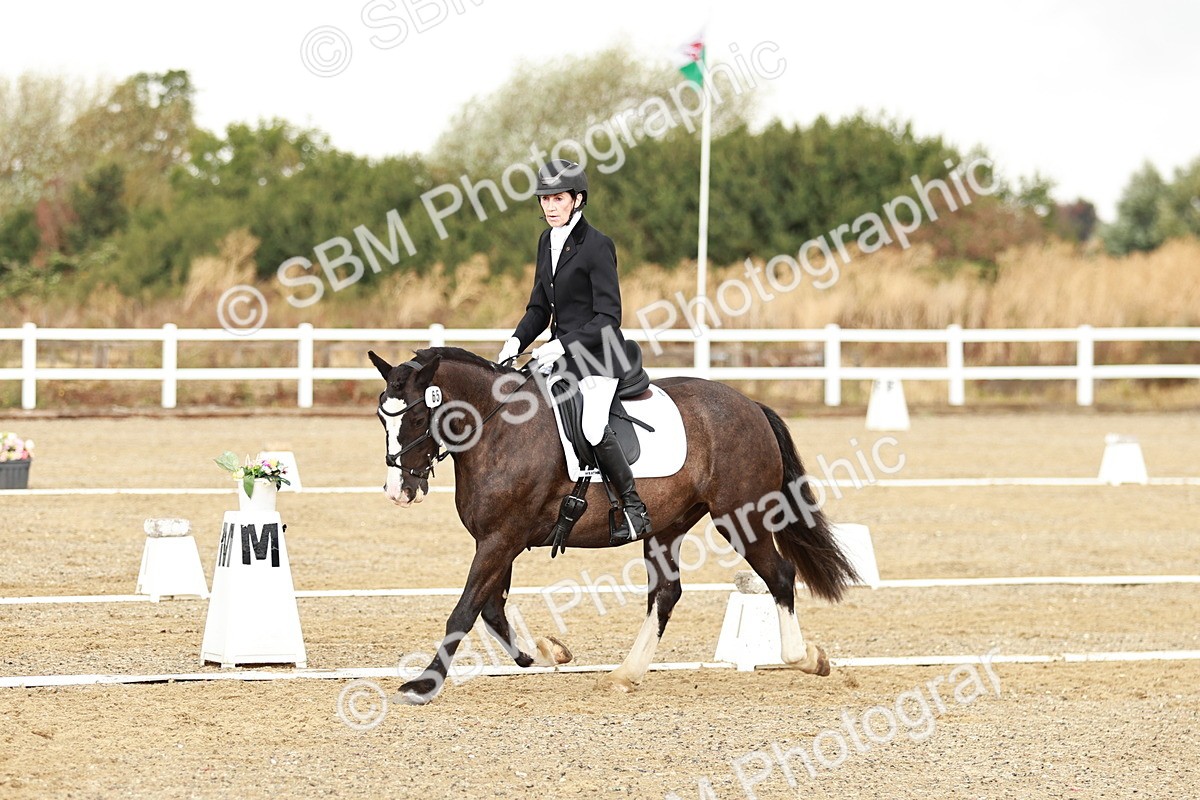 SBM_002647