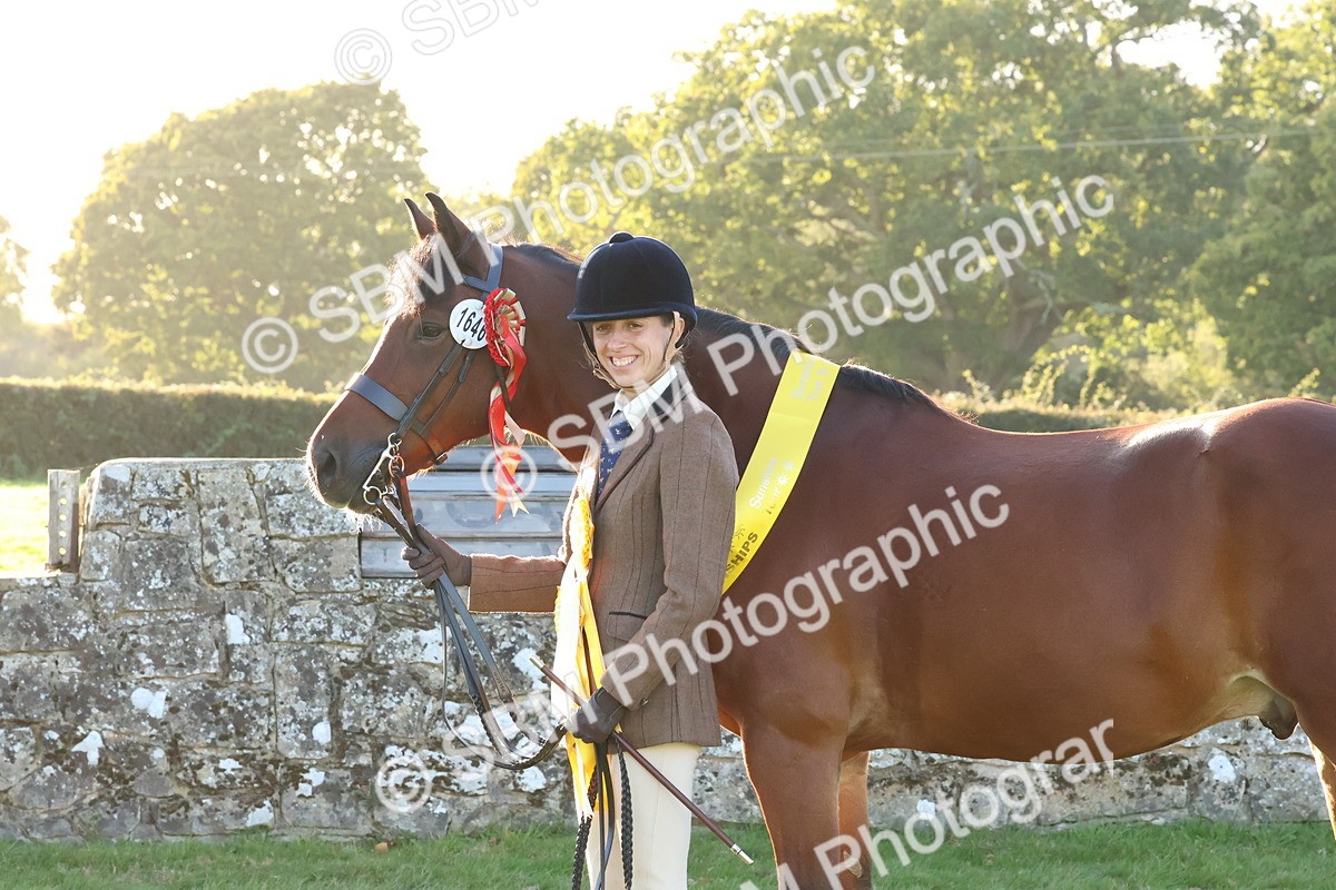 SBM_53195 - Veteran Supreme Championship